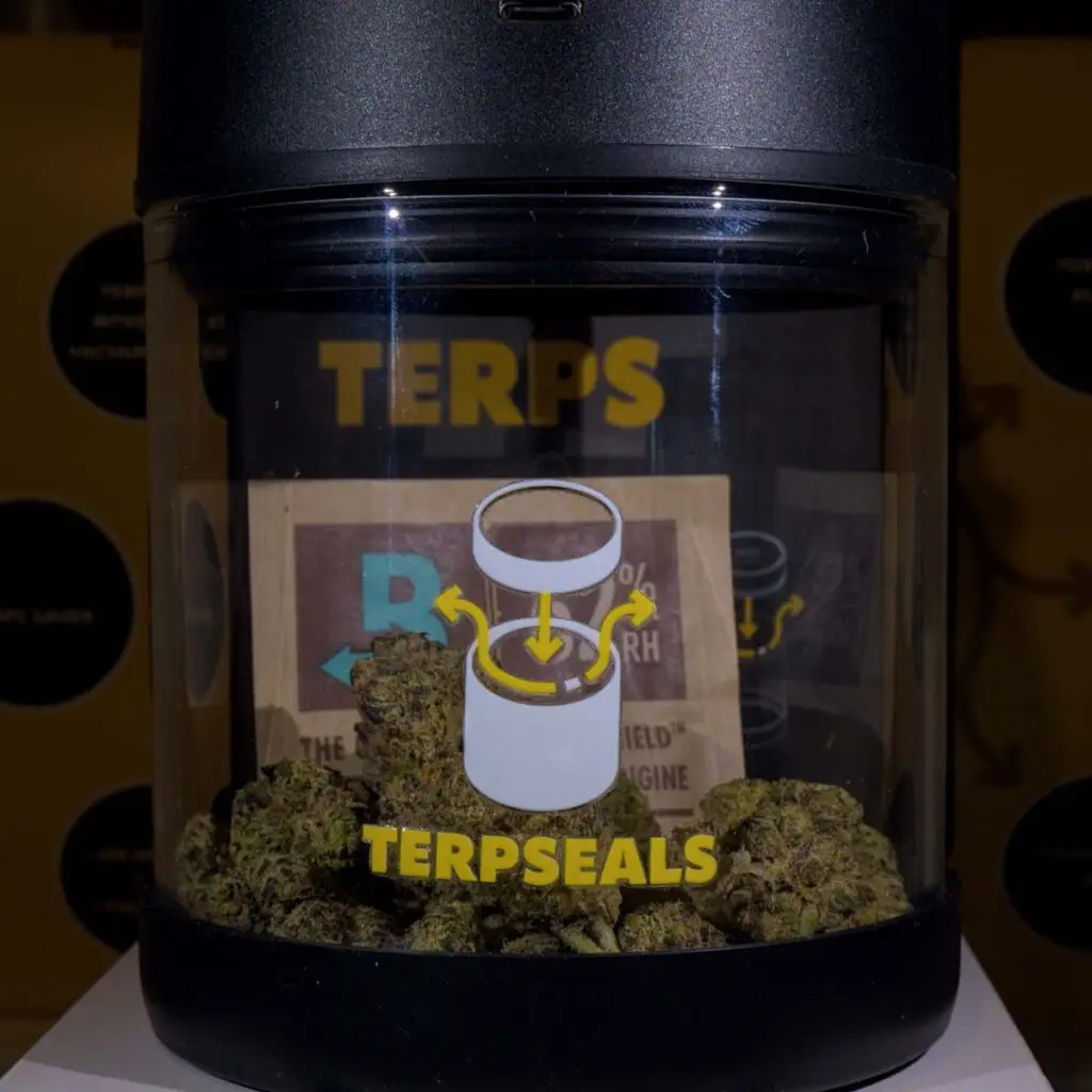 Terpseals storage jar filled with cannabis flower and humidity pack