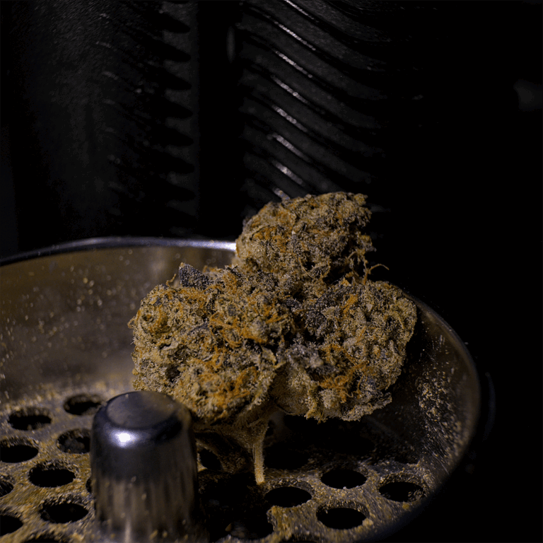 Medical Cannabis Flower Inside Grinder Placed in front of Dry Herb Vape