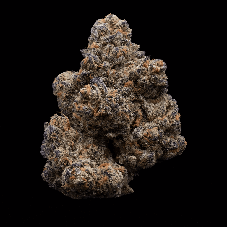 Medical Cannabis Flower Strain Purple Milk