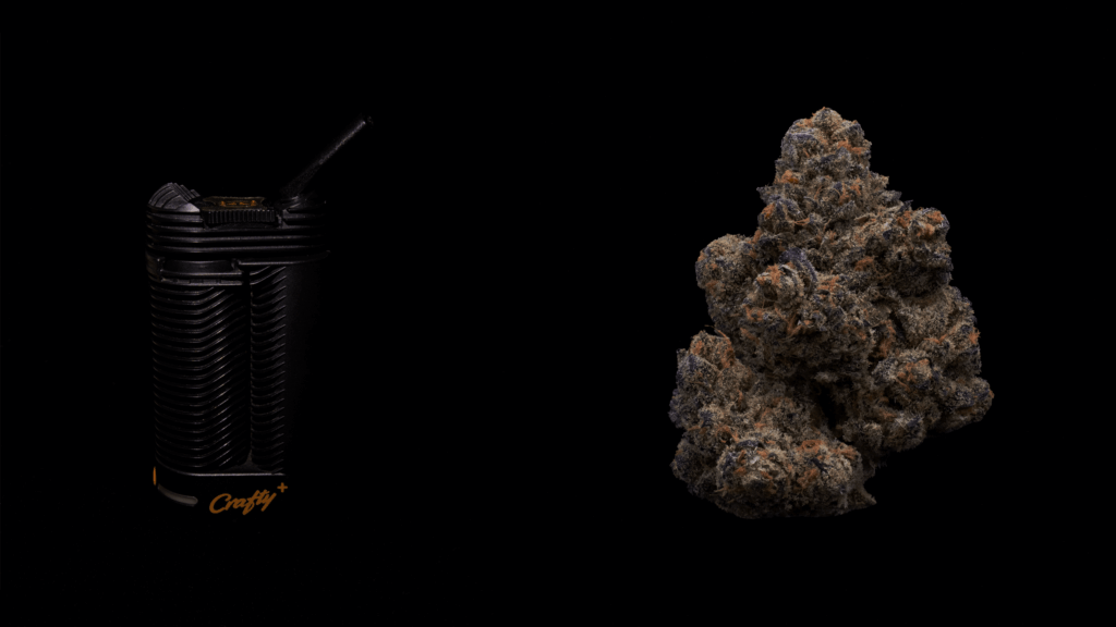 Dry Herb Vape and cannabis flower against dark background